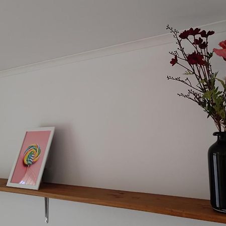 Appartementen Dorp & Duin 海边的艾格蒙特 外观 照片