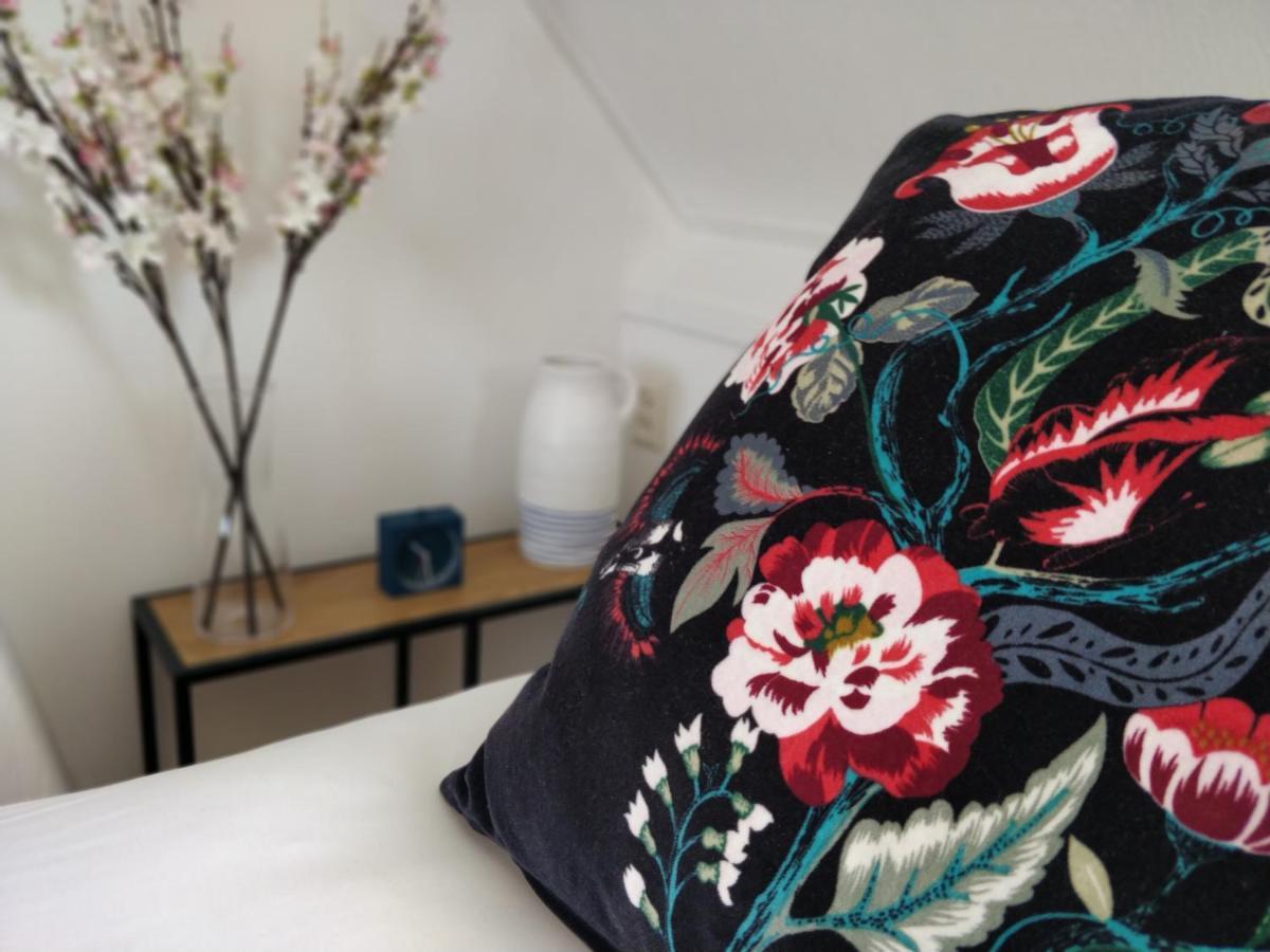 Appartementen Dorp & Duin 海边的艾格蒙特 外观 照片