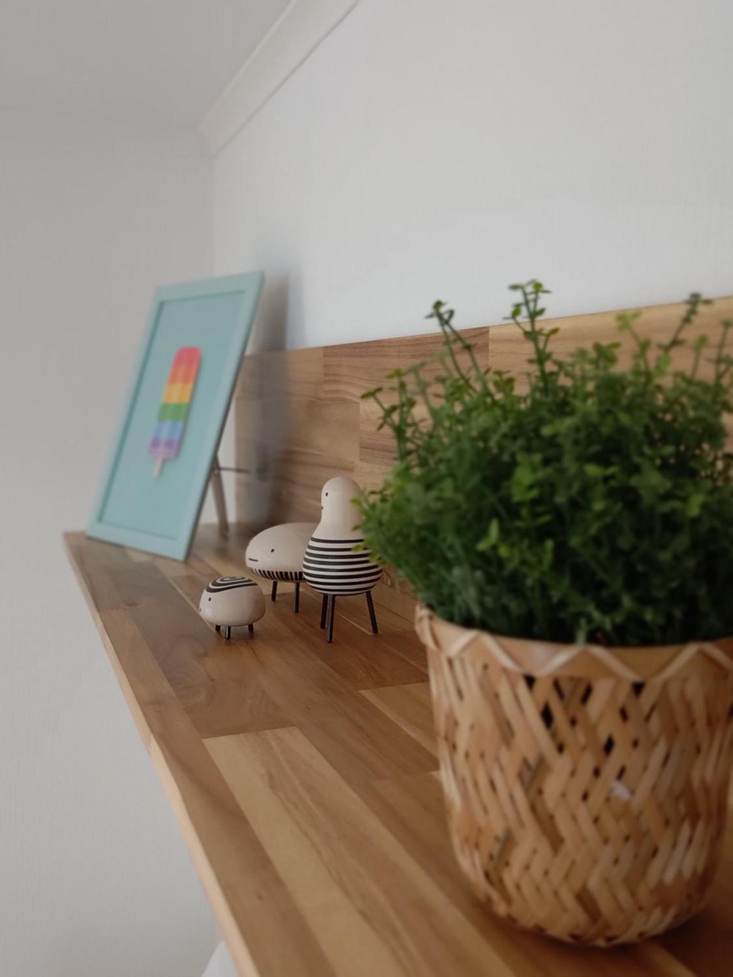 Appartementen Dorp & Duin 海边的艾格蒙特 外观 照片