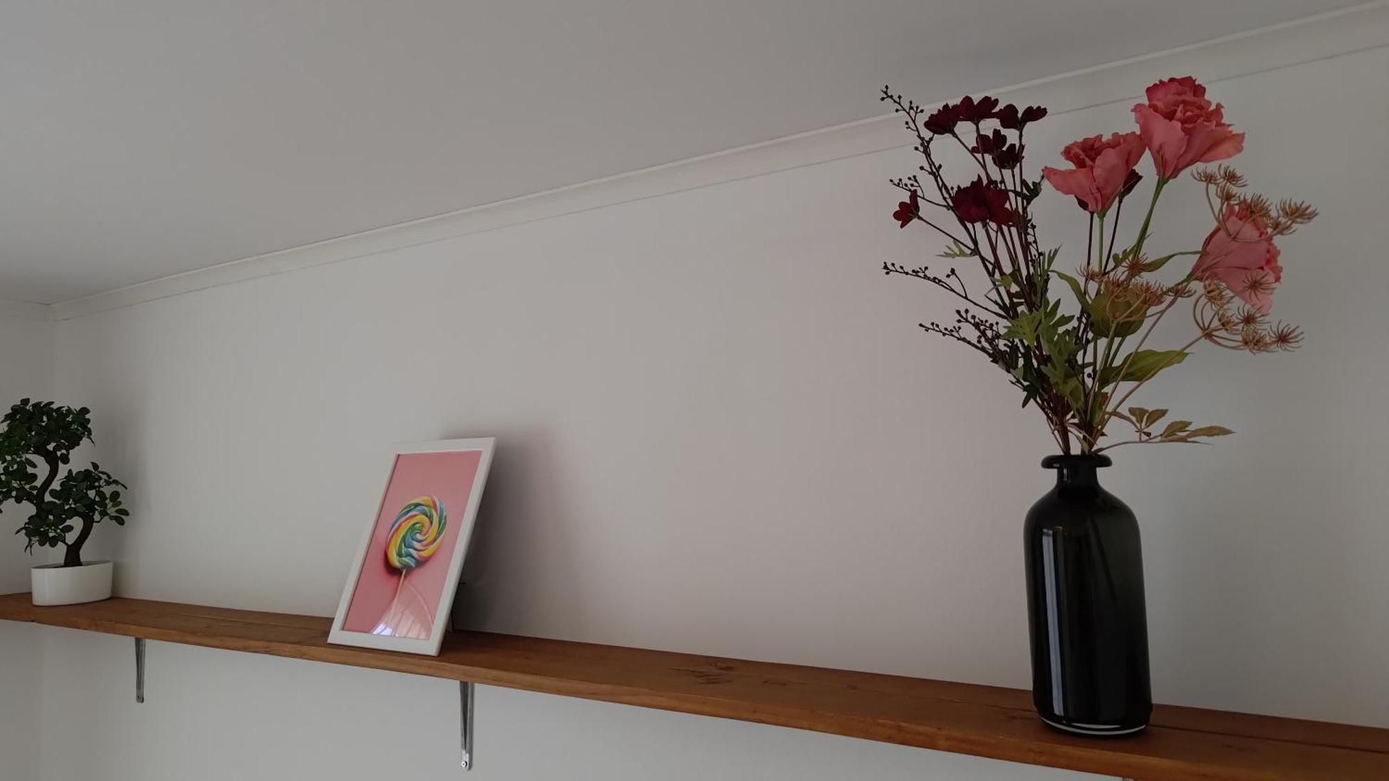 Appartementen Dorp & Duin 海边的艾格蒙特 外观 照片